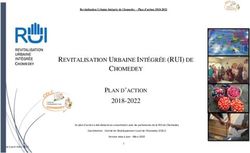REVITALISATION URBAINE INT&Eacute;GR&Eacute;E (RUI) DE CHOMEDEY