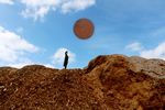 L'ARBRE EN POCHE FICHE P&Eacute;DAGOGIQUE - Douai . Hippodrome . Vendredi 16 mars 2018 - Tandem Arras Douai