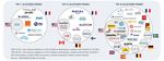 Peur sur la ville. La s&eacute;curit&eacute; num&eacute;rique pour l'espace urbain en France - Working Paper - Sciences Po
