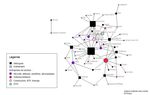 Peur sur la ville. La s&eacute;curit&eacute; num&eacute;rique pour l'espace urbain en France - Working Paper - Sciences Po
