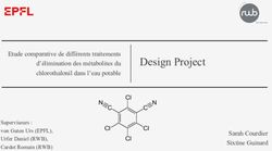 Design Project Etude comparative de diff&eacute;rents traitements d'&eacute;limination des m&eacute;tabolites du chlorothalonil dans l'eau potable - EPFL