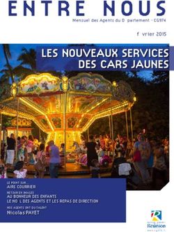 LES NOUVEAUX SERVICES DES CARS JAUNES - février 2015 - AIRS COURRIER