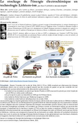 L'énergie électrochimique en