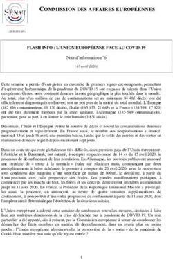 COMMISSION DES AFFAIRES EUROP&Eacute;ENNES
