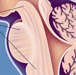 Sommeil et alimentation - Dr José HABA-RUBIO, PD & MER Neurologue Centre du Sommeil de Florimont Centre d'Investigation et de Recherche sur le ...