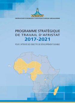 2017-2021 PROGRAMME STRATÉGIQUE - DE TRAVAIL D'AFRISTAT