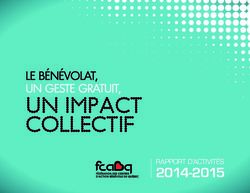 RAPPORT D'ACTIVIT&Eacute;S - Fcabq