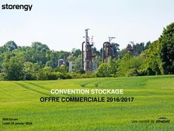 CONVENTION STOCKAGE OFFRE COMMERCIALE 2016/2017 - IBM Forum Lundi 18 janvier 2016 - Storengy