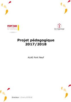 Projet pédagogique 2017/2018 - ALAE Pont Neuf - de Léo Lagrange