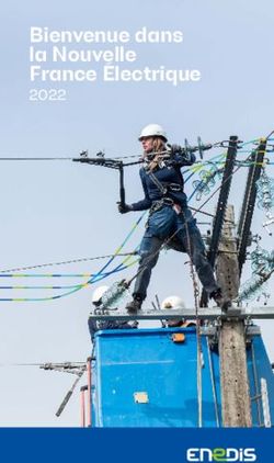Bienvenue dans la Nouvelle France &Eacute;lectrique 2022 - Enedis