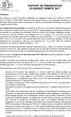 RAPPORT DE PRESENTATION DU BUDGET PRIMITIF 2017 - Evreux ...