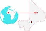 Mali : Un million d'arbres pour Mopti - www.planete-urgence.org