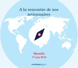 A la rencontre de nos actionnaires - Marseille 1er juin 2015 - Air France KLM
