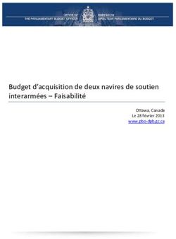 Budget d'acquisition de deux navires de soutien interarmées - Faisabilité - Ottawa, Canada Le 28 février 2013 www.pbo-dpb.gc.ca