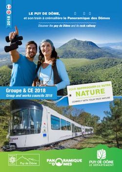 Groupe & CE 2018 Group and works councils 2018 - Panoramique des Dômes