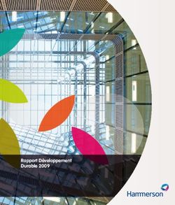 Rapport Développement Durable 2009 - Hammerson France