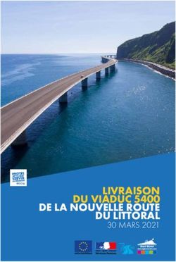 LIVRAISON DU VIADUC 5400 DE LA NOUVELLE ROUTE DU LITTORAL - 30 MARS 2021 - Associations des R&eacute;gions de France