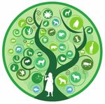 LA BIODIVERSIT&Eacute; FORESTI&Egrave;RE - LE TR&Eacute;SOR VIVANT DE LA PLAN&Egrave;TE - E DE LADIVERSIT&Eacute;BIOLO - CONVENTION BIOLOGICAL DIVERSITY