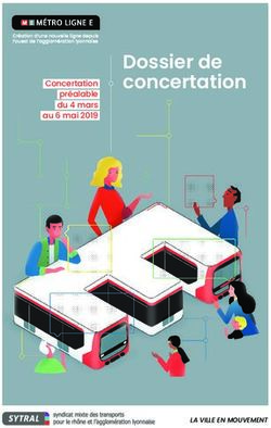 Dossier de concertation - Concertation préalable du 4 mars au 6 mai 2019 - metro-E-sytral.fr