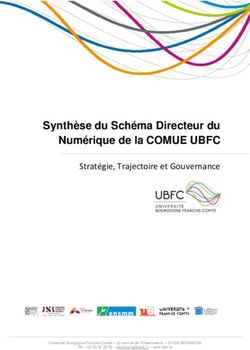 Synthèse du Schéma Directeur du Numérique de la COMUE UBFC - Stratégie, Trajectoire et Gouvernance