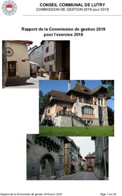 CONSEIL COMMUNAL DE LUTRY - Rapport de la Commission de gestion 2019 pour l'exercice 2018 COMMISSION DE GESTION 2019 pour 2018