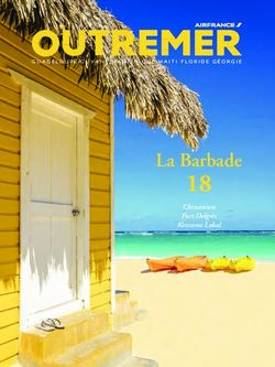 18 La Barbade Chinatown Fort Delgr&egrave;s Konsome Lokal - Voyager Vrai