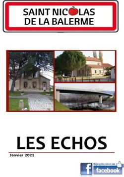 LES ECHOS Janvier 2021 - Saint Nicolas de la Balerme