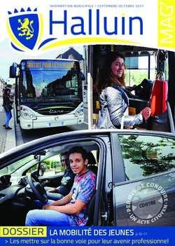 LA MOBILITÉ DES JEUNES p.10-11 - Les mettre sur la bonne voie pour leur avenir professionnel - Halluin