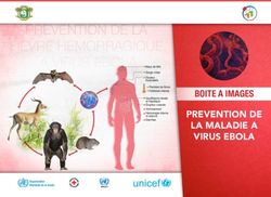 PREVENTION DE LA MALADIE A VIRUS EBOLA - BOITE A IMAGES