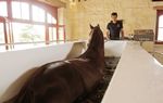 TROY MOTH Celebration Issue - EQUESTRIOTHE VOICE OF THE EQUESTRIAN WORLD - Balnéothérapie équine du Haras de Malleret ...