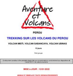 TREKKING SUR LES VOLCANS DU PEROU - PEROU