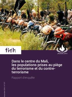 Dans le centre du Mali, les populations prises au piège du terrorisme et du contre-terrorisme - Rapport d'enquête - FIDH