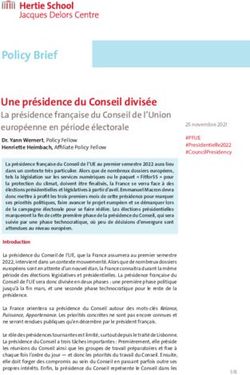 Policy Brief Une présidence du Conseil divisée - OPUS 4