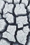 Quelles cons&eacute;quences sur la sinistralit&eacute; - Changement climatique & Assurance : LIVRE BLANC COV&Eacute;A