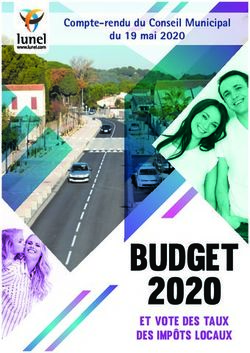 Budget 2020 et vote des taux des impÔts locaux - Compte-rendu du Conseil Municipal - Ville de Lunel
