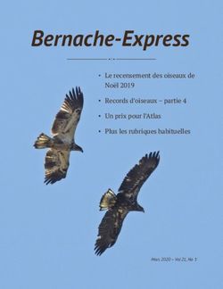 Bernache-Express Le recensement des oiseaux de Noël 2019 Records d'oiseaux - partie 4 Un prix pour l'Atlas Plus les rubriques habituelles ...