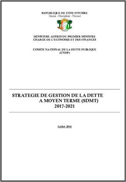 STRATEGIE DE GESTION DE LA DETTE A MOYEN TERME (SDMT) 2017-2021