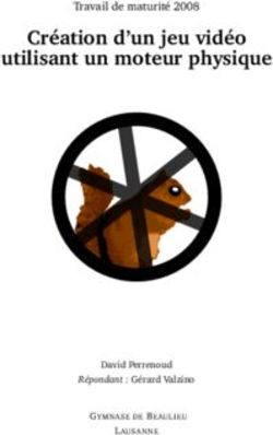 Création d'un jeu vidéo utilisant un moteur physique - Travail de maturité 2008 - David Perrenoud
