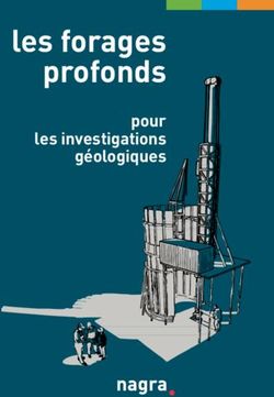 Les forages profonds pour les investigations g&eacute;ologiques - Nagra