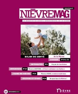 BILAN DE SANT&Eacute; - Conseil D&eacute;partemental de la Ni&egrave;vre