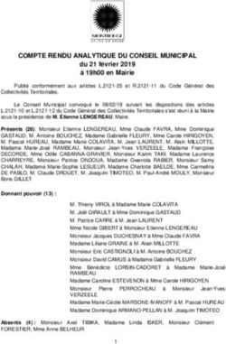 COMPTE RENDU ANALYTIQUE DU CONSEIL MUNICIPAL - du 21 février 2019 à 19h00 en Mairie - Ville de Montrouge