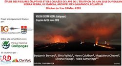 ÉTUDE DES FISSURES ÉRUPTIVES ET DES COULÉES DE LAVE DE L' ÉRUTPION DE JUIN 2018 DU VOLCAN SIERRA NEGRA, ILE ISABELA, ARCHIPEL DES GALAPAGOS, ÉQUATEUR