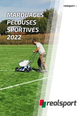 MARQUAGES PELOUSES SPORTIVES 2022 .ch - Realsport