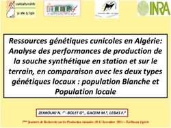Ressources génétiques cunicoles en Algérie: Analyse des performances de production de la souche synthétique en station et sur le terrain, en ...