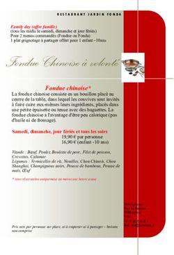 Fondue Chinoise à volonté - Fondue chinoise* - Aji Code
