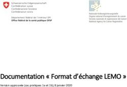 Documentation " Format d'échange LEMO " - BAG