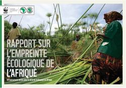 L'AFRIQUE Infrastructures vertes pour la sécurité écologique en Afrique - Panda