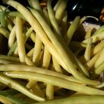 Catalogue de semences 2018 - de la ferme coopérative les potagers partagés - Baie des saveurs