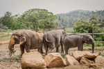 Petits secrets du Sri Lanka - ASIE ONLINE