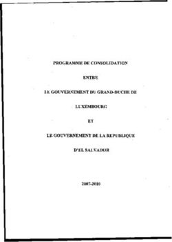 ET PROGRAMME DE CONSOLIDATION ENTRE LE GOUVERNEMENT DU GRAND-DUCHE DE LUXEMBOURG LE GOUVERNEMENT DE LA REPUBLIQUE D'EL SALVADOR